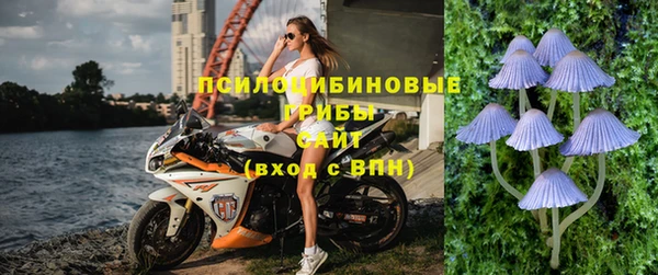 PSILOCYBIN Белоозёрский
